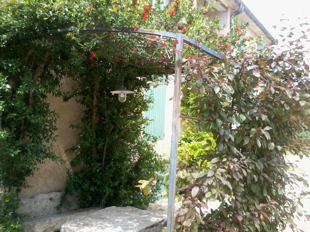 Mas La Vitalis Chambres D'Hotes LʼIsle-sur-la-Sorgue Buitenkant foto