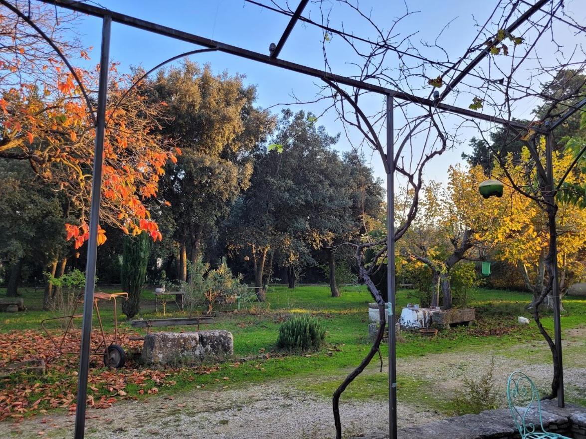 Mas La Vitalis Chambres D'Hotes LʼIsle-sur-la-Sorgue Buitenkant foto